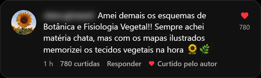 Depoimento 33